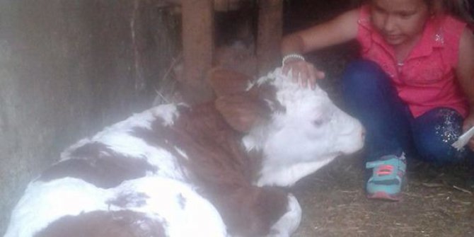 8 yaşındaki kızın kahreden ölümü