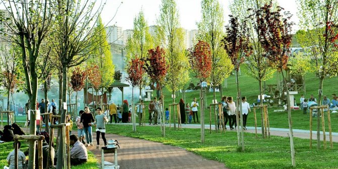 Şahinbey yeşilinin tonlarıyla boyandı