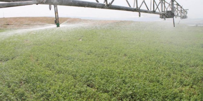 Çorum’da ÇATAK uygulamaları devam ediyor