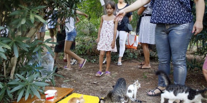 Antalya’daki ‘kedi katliamına’ site sakinlerinden tepki