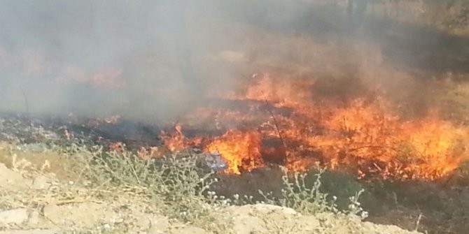 Arazi yangını akaryakıt istasyonuna 20 metre kala söndürüldü