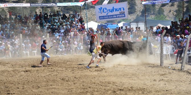 Karagöl Yayla Şenlikleri