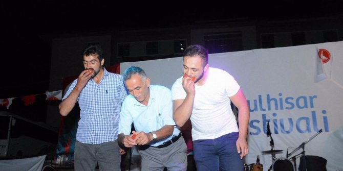 Koyulhisar’da kültür ve sanat festivali yapıldı