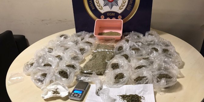 Bursa’da 1 kilo bonzai ele geçirildi