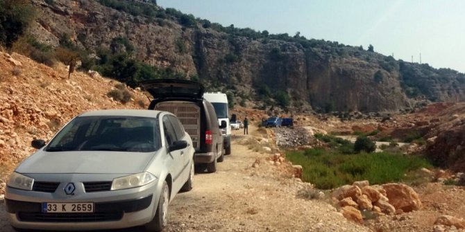 Kayıp Hollandalı ölü olarak bulundu