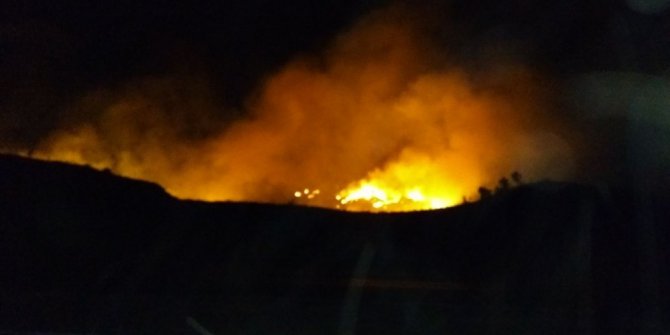 Siirt’te orman yangını