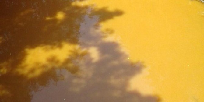 Rengarenk akan dere şaşırtıyor