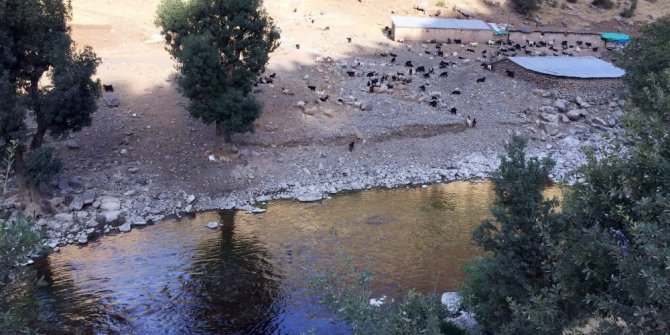 Zift Habur Çayı’na karıştı