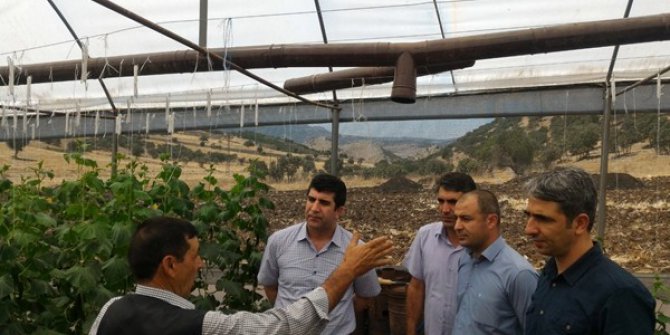 Çermik’te seracılık istihdama katkı sağlıyor
