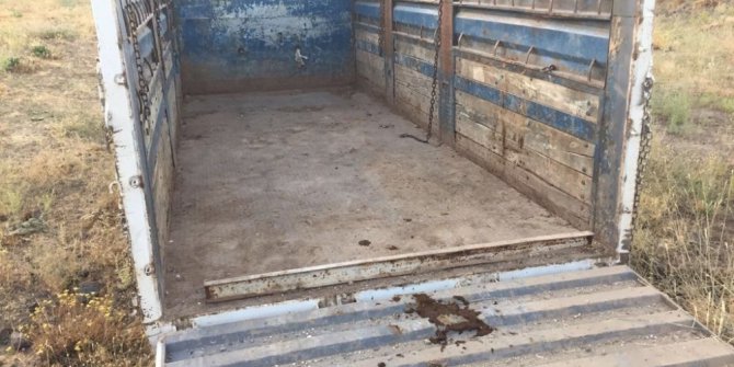 Hırsızlar kamyonu ve hayvanları bırakıp kaçtı