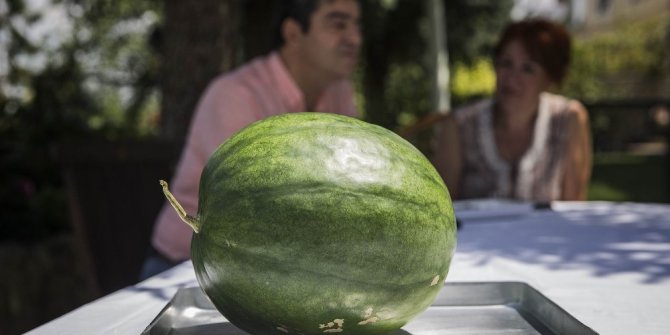 Karaburun’un nesli tükenen karpuzu Kayseri’de hayata dönüyor