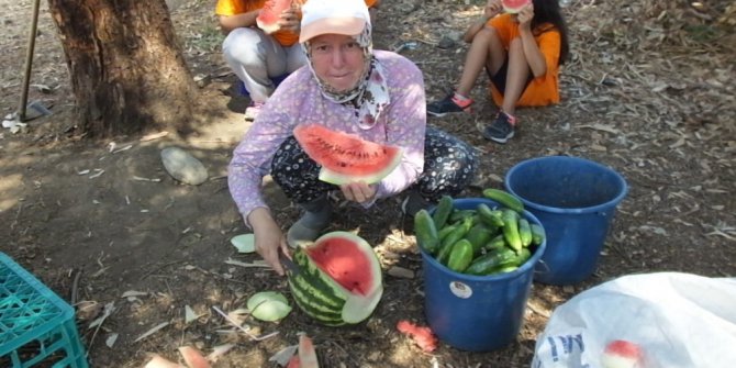 Minik öğrenciler teknolojiden uzak bahçe çapaladı