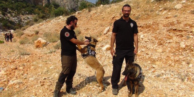 Hollandalı turistin cesedi otopsi yapılmak üzere Adana’ya gönderildi