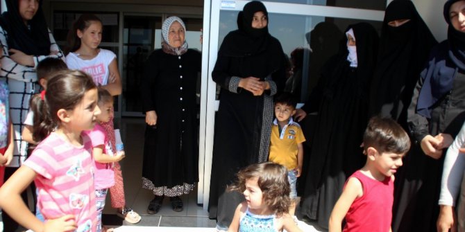 Kayseri’de et yiyen örümcek paniği