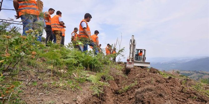 Bozuk ormanlar iyileşiyor