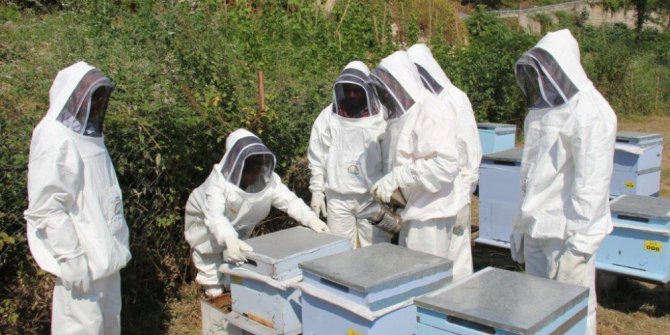 TİKA’dan Gine Bissaulu personele arıcılık eğitimi