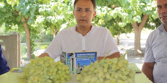 Tripolis Antik Kent’te çekirdeksiz üzüm festivali yapılacak