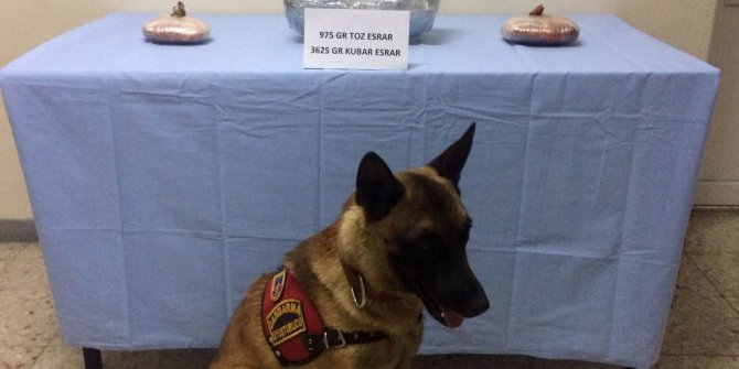 Sivas’ta kaçakçılık operasyonu: 20 gözaltı