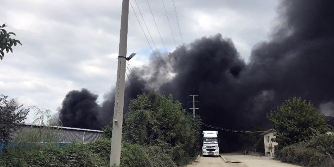 Kimyasal üreten fabrikada çıkan yangın korkuttu