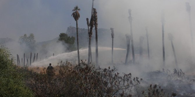 Kemer’da çöp yangını palmiye ağaçlarını kül etti