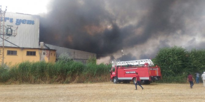 Palet yakıtı üreten fabrikada yangın