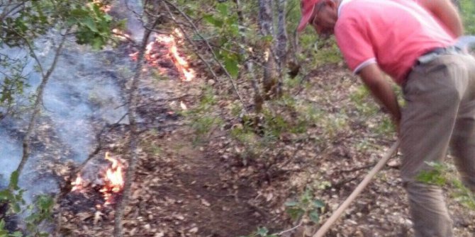 Tunceli’deki orman yangınları kontrol altına alındı