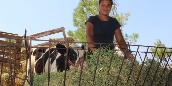 İzmirli Heidi veteriner olmak istiyor