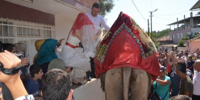 Deve sırtında gelin aldılar