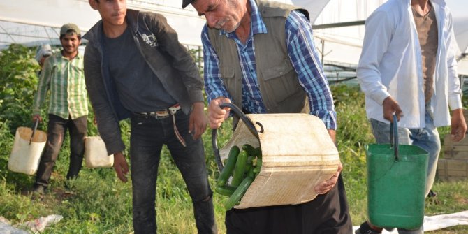 Yerinde 50 kuruş, pazarda 2 TL