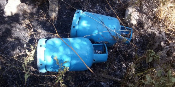 Lice’de terör operasyonu