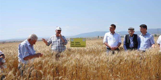 Aslana’pa tarla günü