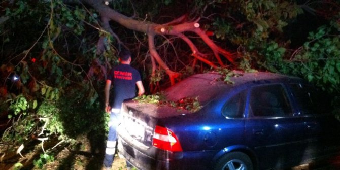 Ödemiş’te rüzgar ağacı otomobilin üzerine devirdi