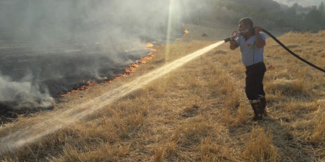 Siirt’te anız yangını