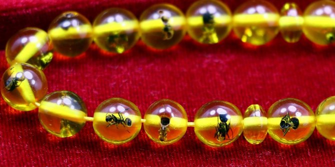 40 bin yıllık karınca fosilli tespih