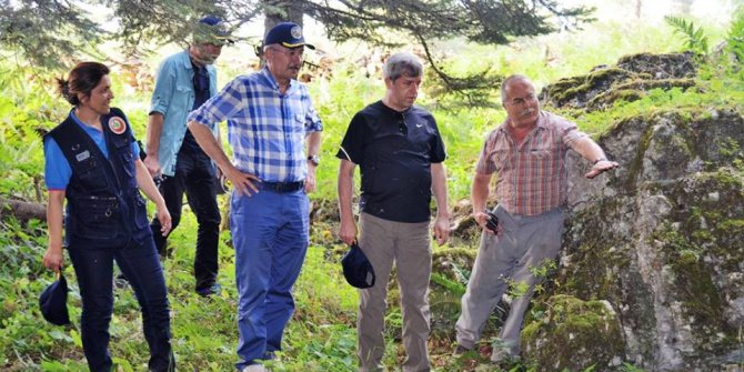 Çınar, orman emval üretimi çalışmalarını inceledi