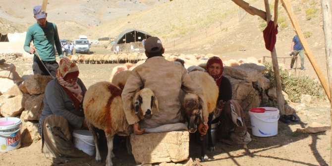 Küçükbaş hayvan yetiştiricilerine süt kovası dağıtıldı