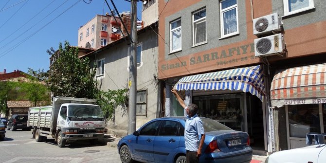 Yüksek gerilim hatlarına çarpan güvercin ilçeyi 2 saat elektriksiz bıraktı