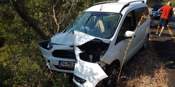 Arıdan korkan  sürücü kaza yaptı