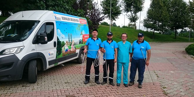 Belediye’den kurban yakalama timi