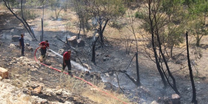 Anız yangını bahçeye sıçradı