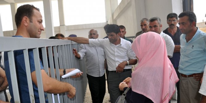 Midyatlı genç çiftçilere 66 büyükbaş hayvan dağıtıldı