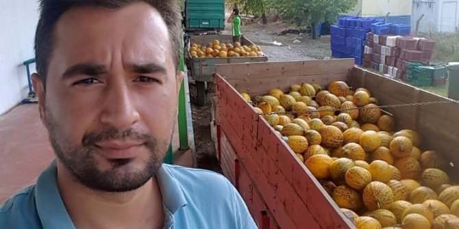 Kavun çiftçinin yüzünü güldürdü