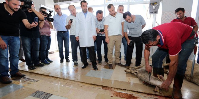 Kurban Kesim Elemanı Kursu