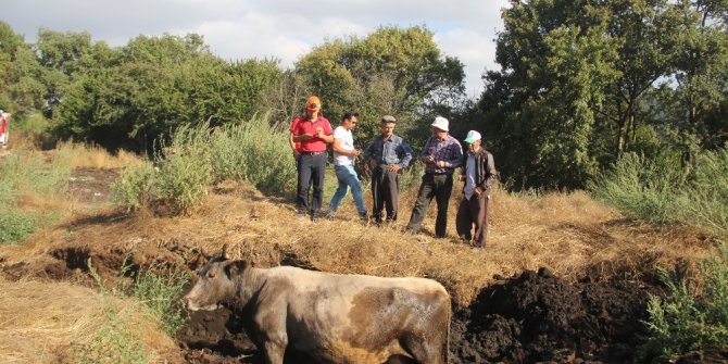 Gübreye batan ineği itfaiye kurtardı
