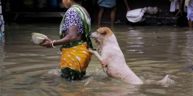 Asya kıtasındaki selde 245 kişi hayatını kaybetti