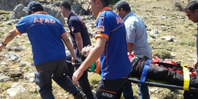 Kurbanlık dananın saldırısına uğradı