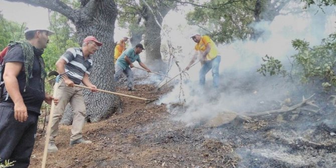 Tunceli’deki orman yangınları tamamen kontrol altına alındı