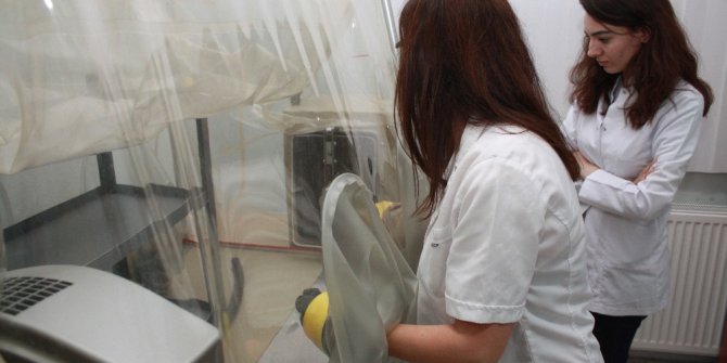 Enerjide dışa bağımlılık Biogaz’la azalacak