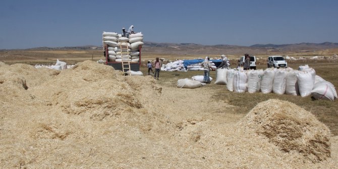 Sivas’ta kışlık saman hazırlıkları sürüyor