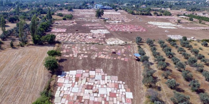 Antalya’nın susuz tarımı: Milyon dolarlık halı tarlaları